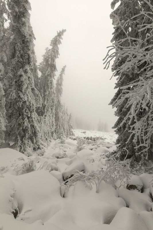 Зима в Болгарии