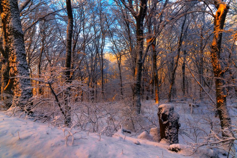 Зимний лес на горе Бештау