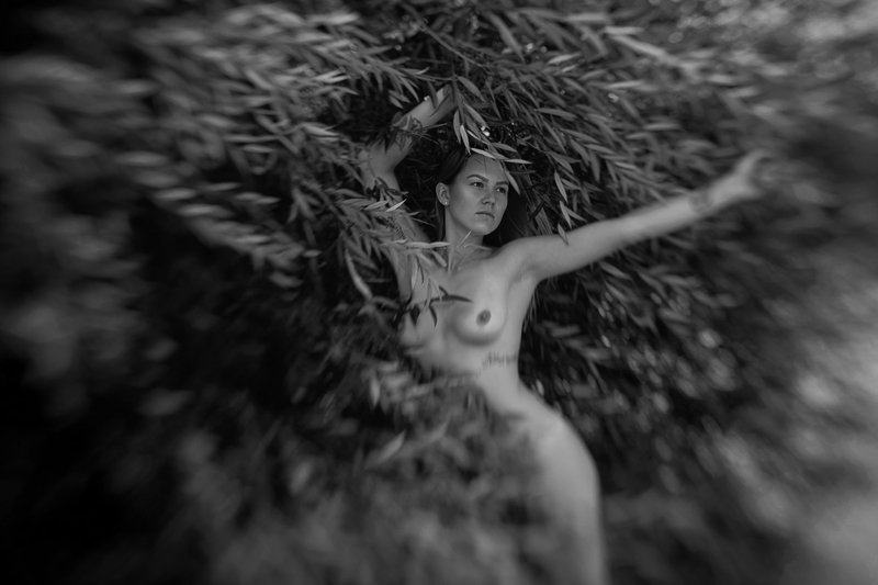 BW lensbaby
