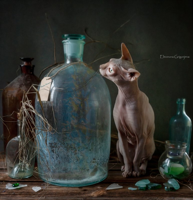 Оливия и стеклянная бутыль