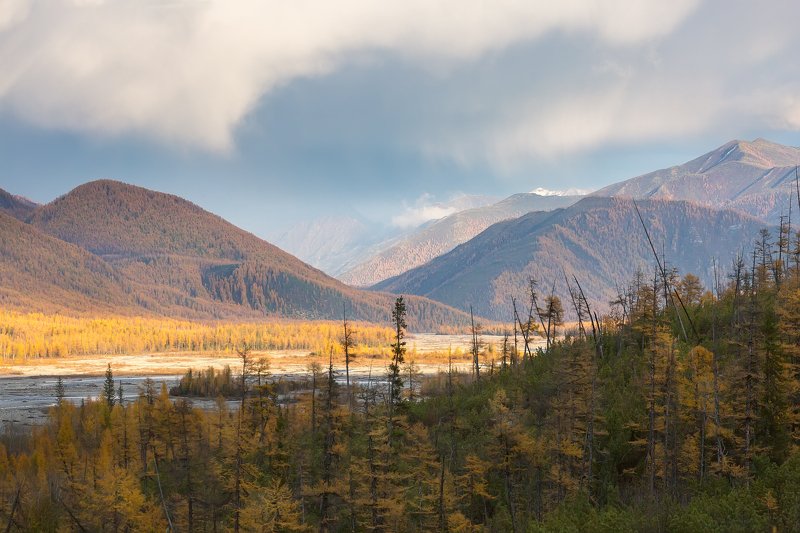 Сентябрь якутск. Томпонский улус горы. Якутия природа Томпонского. Томпонский район фото. Фото цветы в горах Якутия Томпонский.