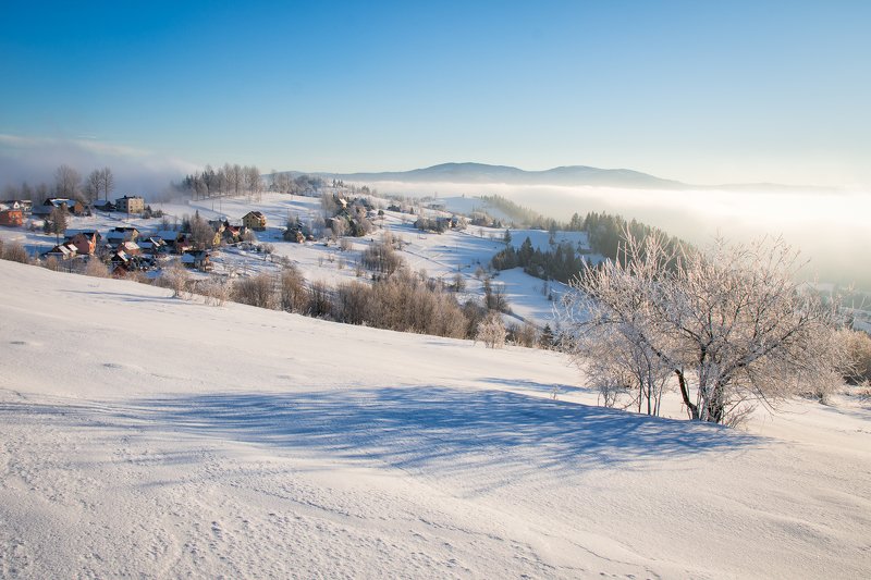 In the winter sun