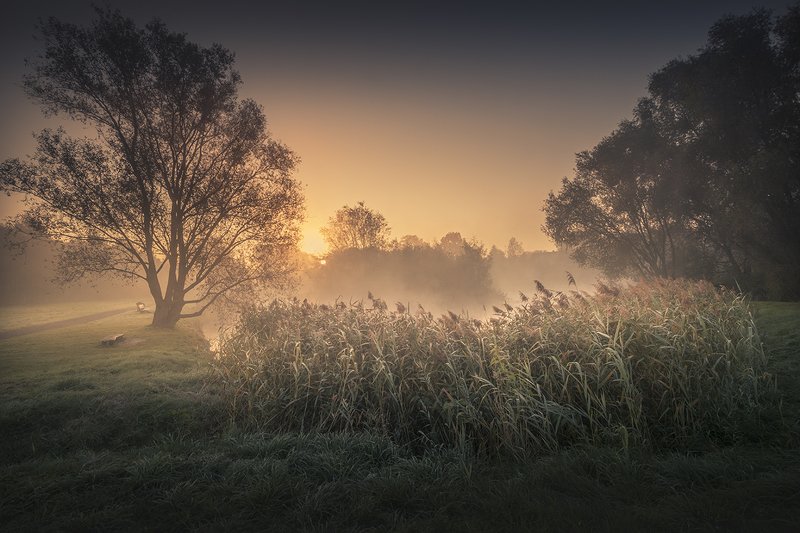 Morning mists