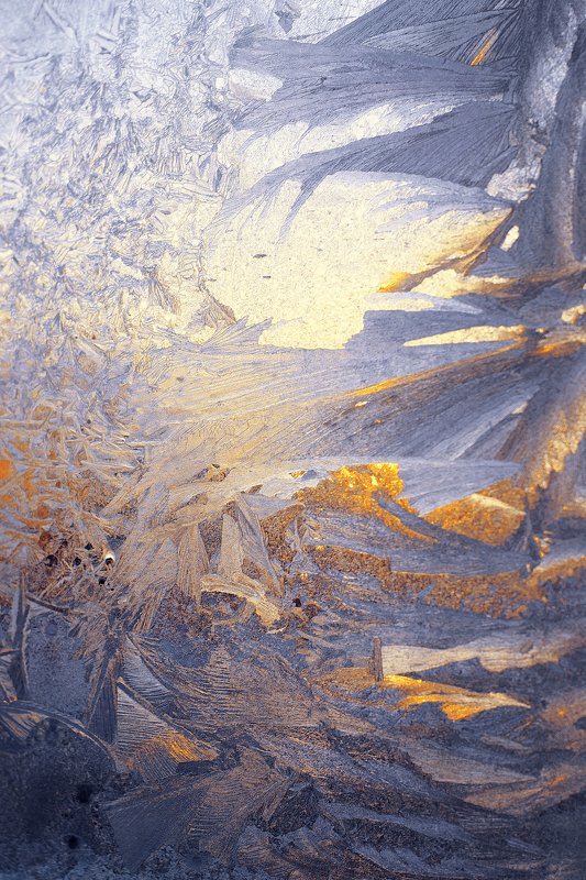 Frost paints on glass