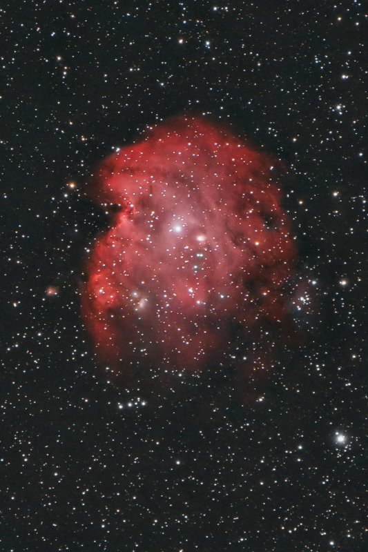 Sh2-252 - Monkey Head Nebula