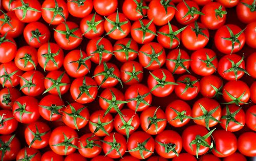 tomato