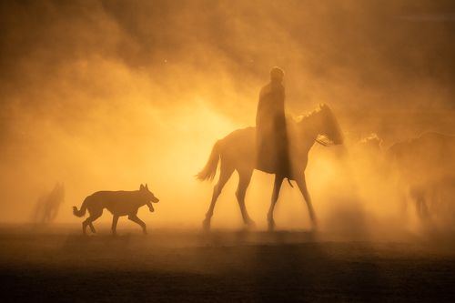 Walk with dog