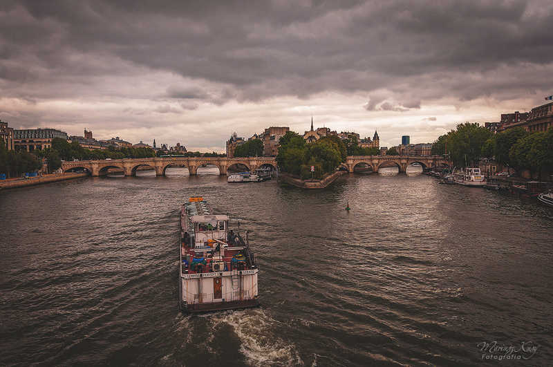 Bark on Paris river