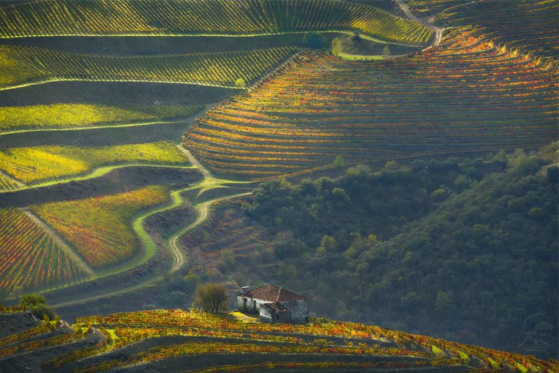 DOURO