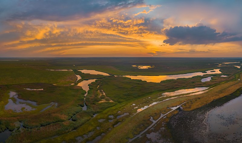 Водно-болотный комплекс