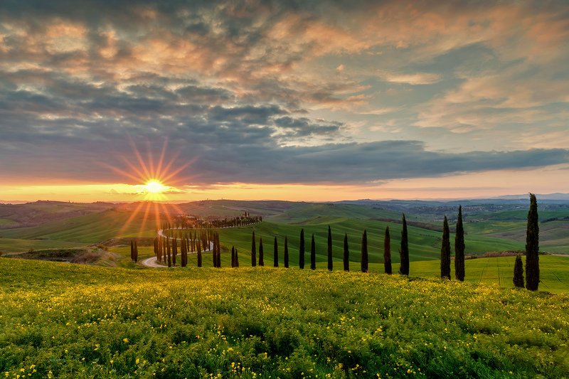 Under the Tuscan Sun