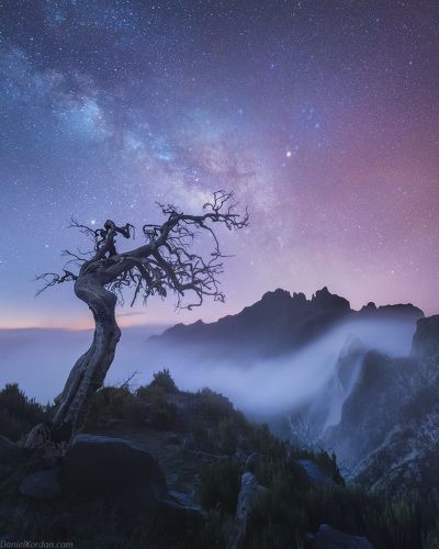 MADeira