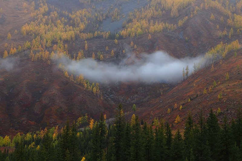 осень в горах Алтая