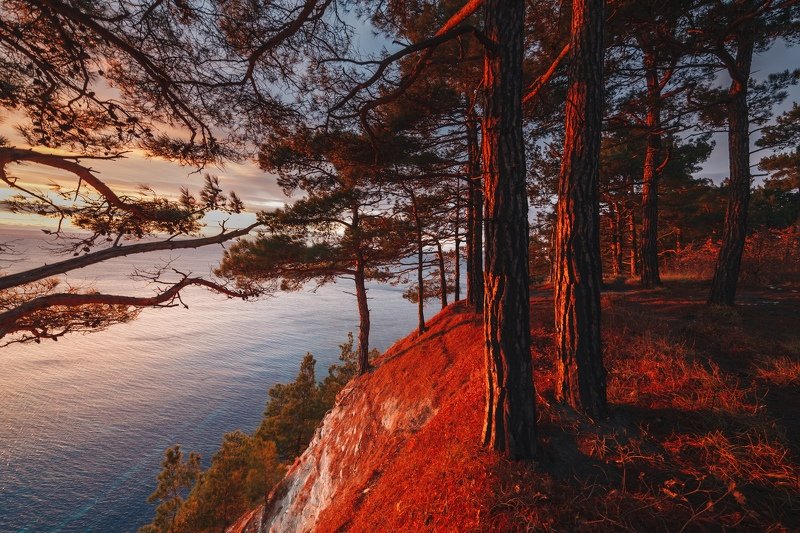 Огненно красный