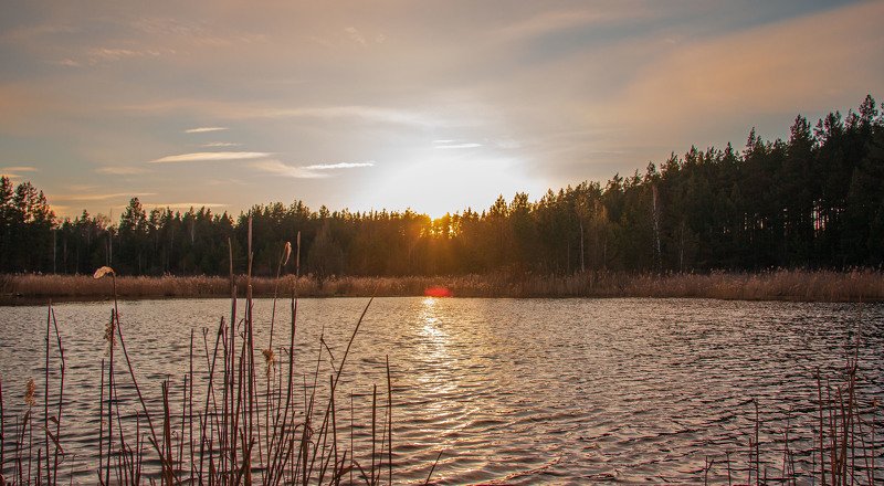 В окрестностях гог. Кулебаки...МТФ