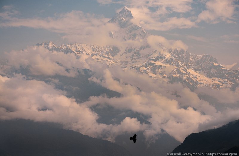 Machapuchare or Fishtail sacred summit in the Himalayas. Tourism and treking in Nepal