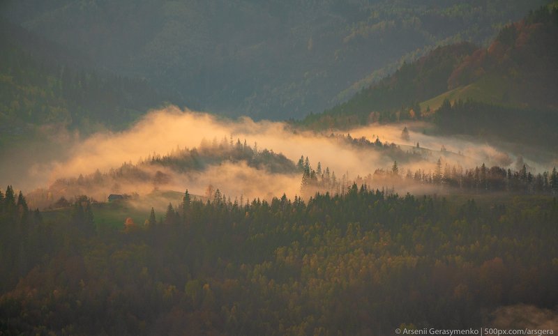Misty Mountains Fog over forests and hills in Carpathian Mountains