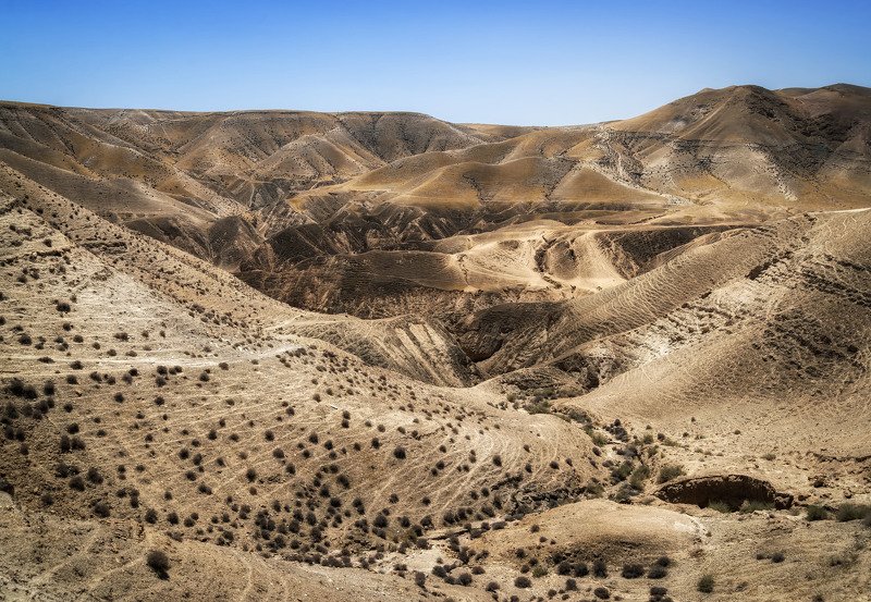 The canyons of Ein Ghedi near the Dead Sea.