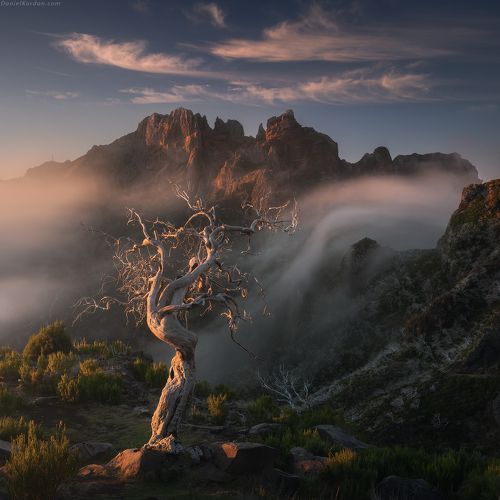 Cloudfall