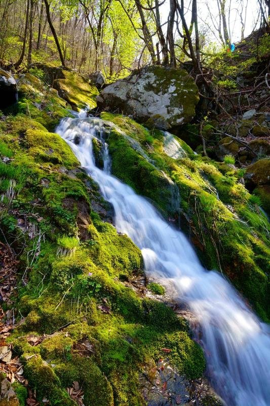 Moss waterfall in early spring