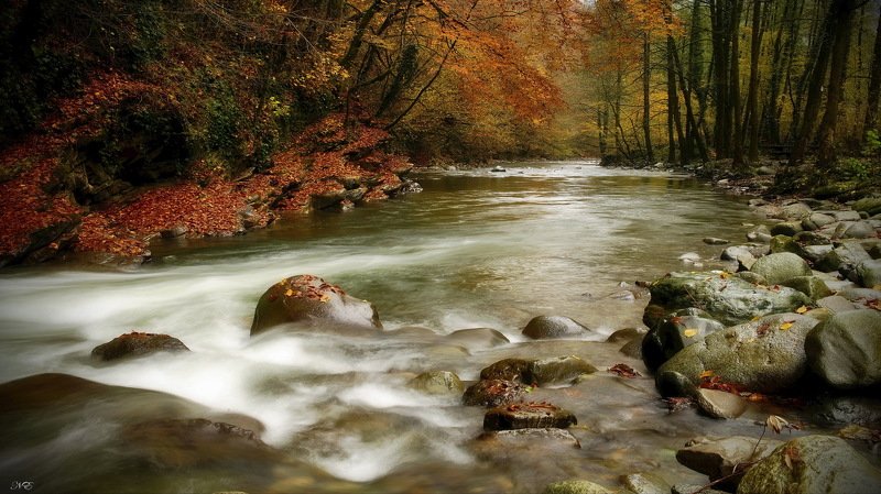 Осенняя река.