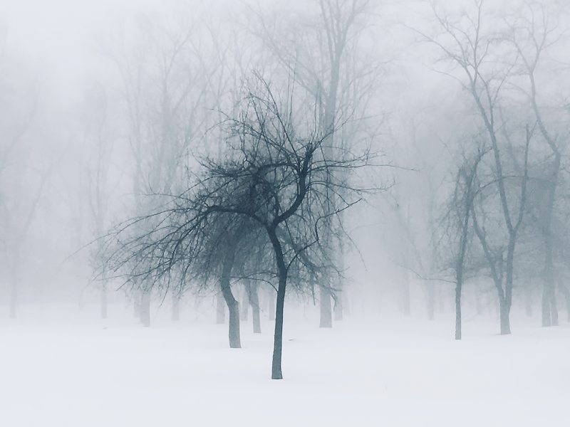 Зимний туман