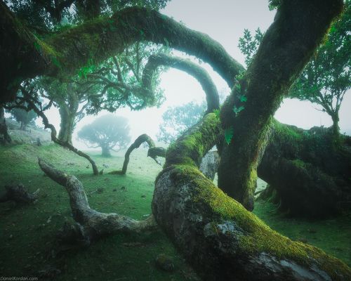 Madeira
