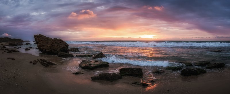 Sea Sunset Paints