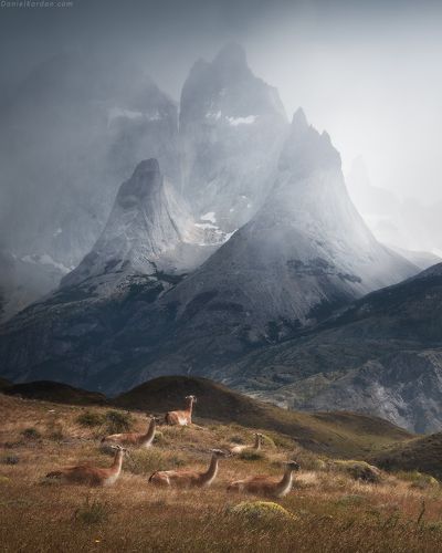 Patagonia