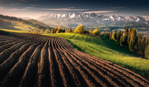 Tatras morning