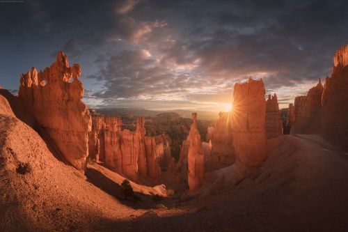 Bryce