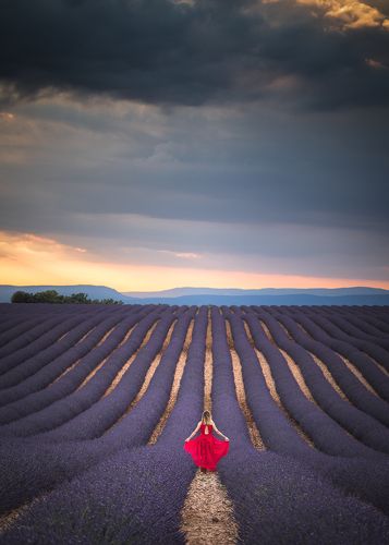 Provence