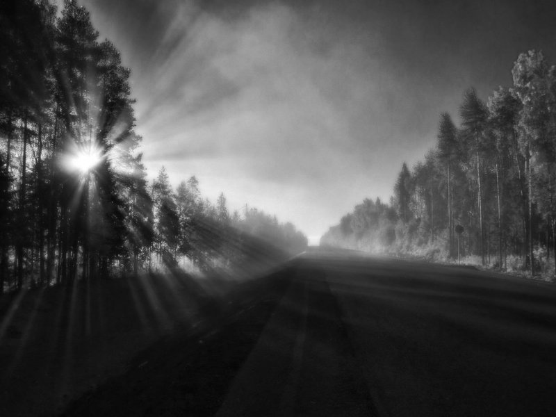 Дорога,солнце и туман