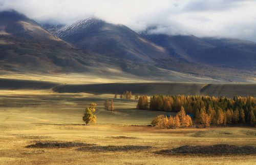 У подножия Курайского хребта