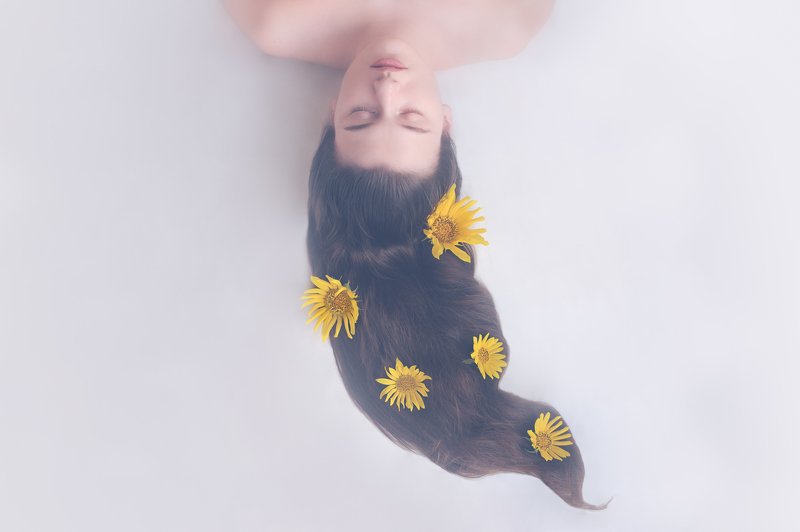 Dream of sunflower