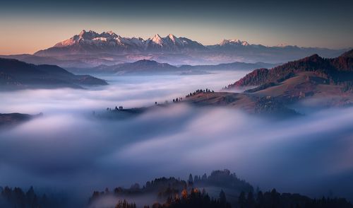Misty Morning