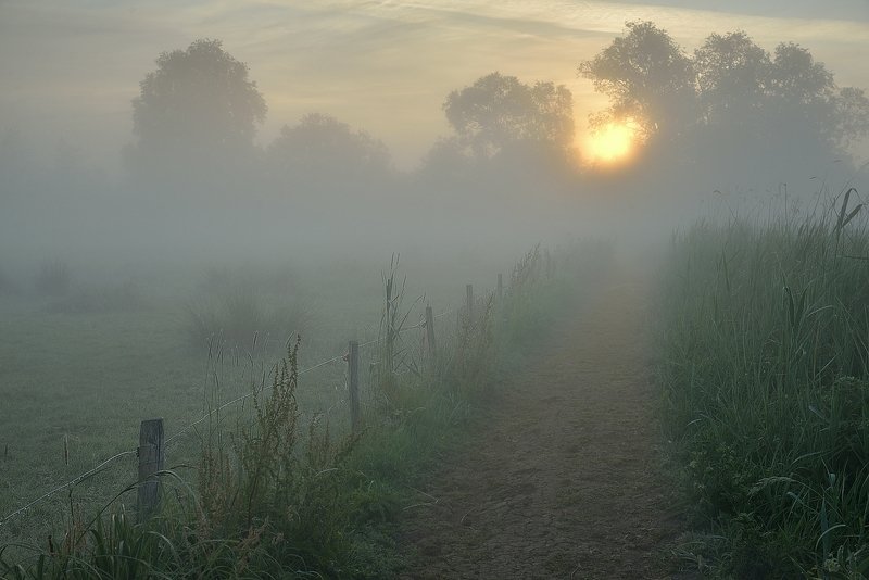 The mysterious morning.