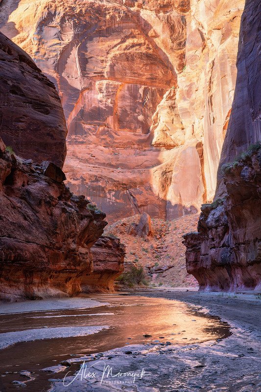 Золотой свет в каньоне
