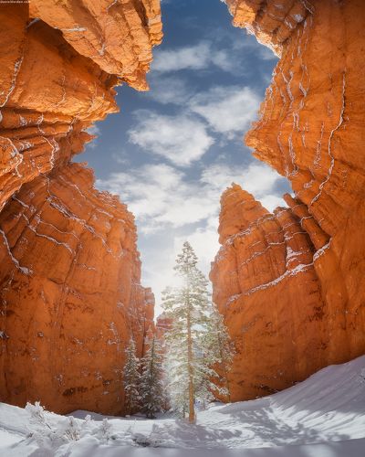 Bryce