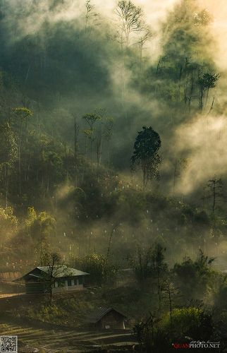 Dreamland