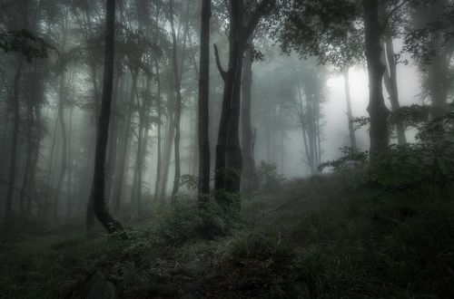 June, the charm of the mist / Очарование тумана