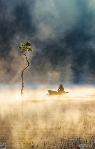 Misty Morning