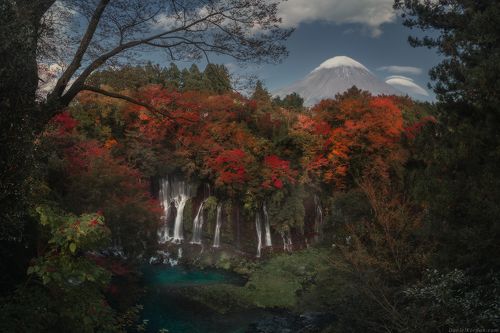 In Japan