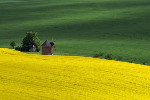 Windmill