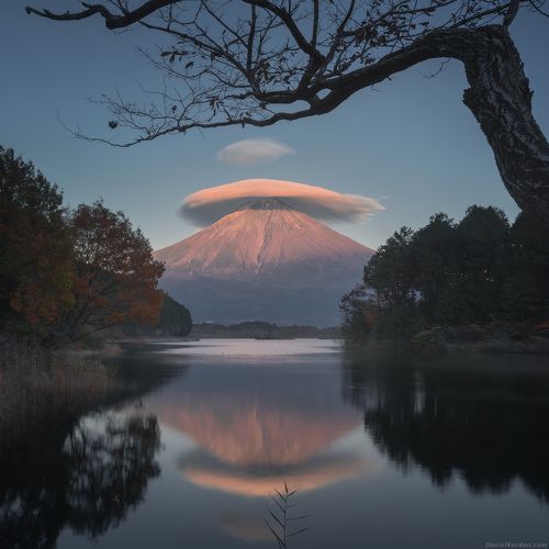 In Japan