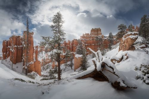 Bryce