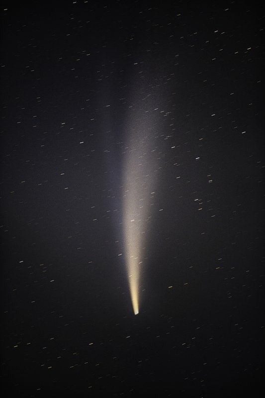 NEOWISE comet