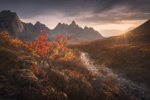 Yukon