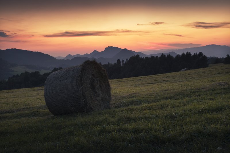 Haymaking in the Pieniny Mountains