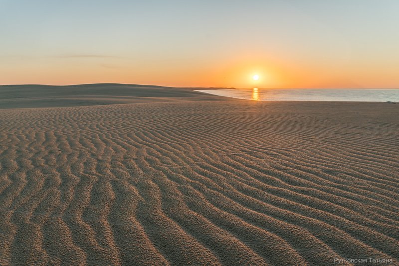 Утро в дюнах